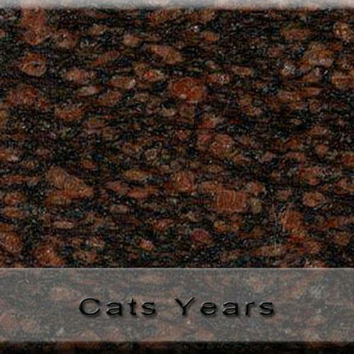Cats Years