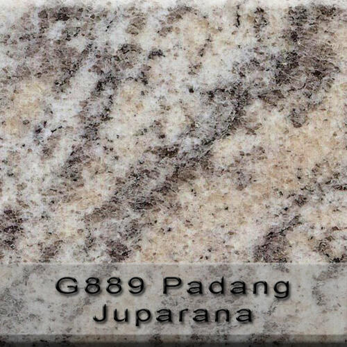 Padang Juparana G889