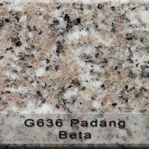 Padang Beta G636